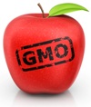 isolated-gmo-apple