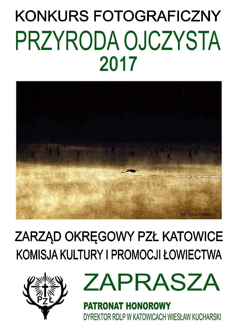 2017 Plakat s