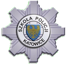 news logo